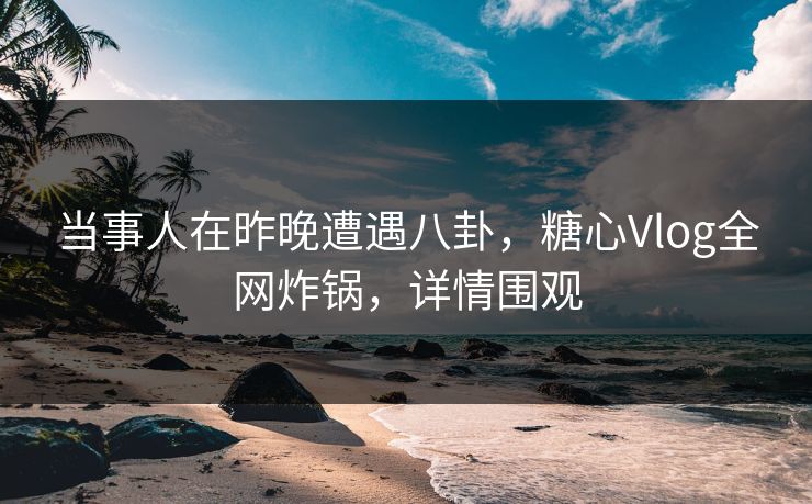 当事人在昨晚遭遇八卦，糖心Vlog全网炸锅，详情围观