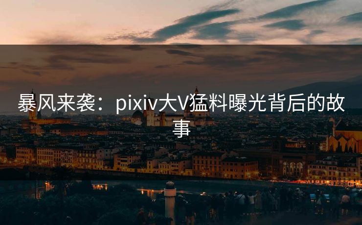 暴风来袭：pixiv大V猛料曝光背后的故事