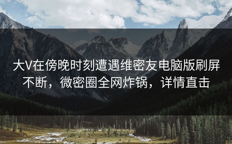 大V在傍晚时刻遭遇维密友电脑版刷屏不断，微密圈全网炸锅，详情直击
