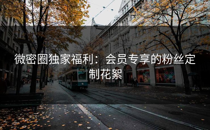 微密圈独家福利：会员专享的粉丝定制花絮