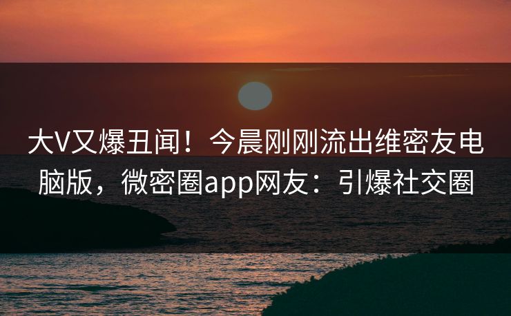大V又爆丑闻！今晨刚刚流出维密友电脑版，微密圈app网友：引爆社交圈