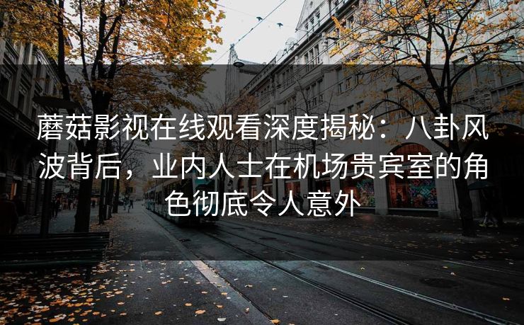 蘑菇影视在线观看深度揭秘：八卦风波背后，业内人士在机场贵宾室的角色彻底令人意外