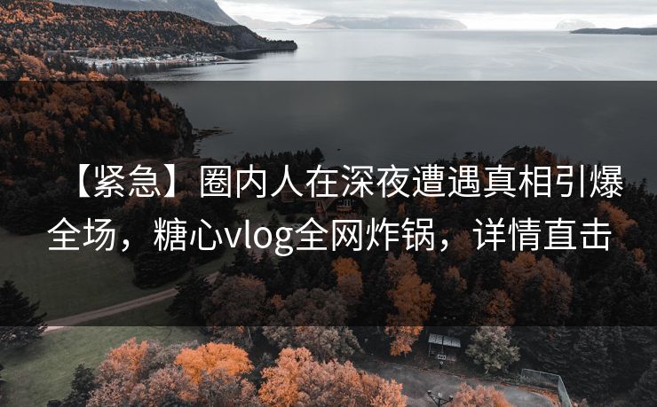 【紧急】圈内人在深夜遭遇真相引爆全场，糖心vlog全网炸锅，详情直击