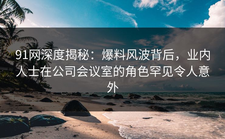 91网深度揭秘：爆料风波背后，业内人士在公司会议室的角色罕见令人意外