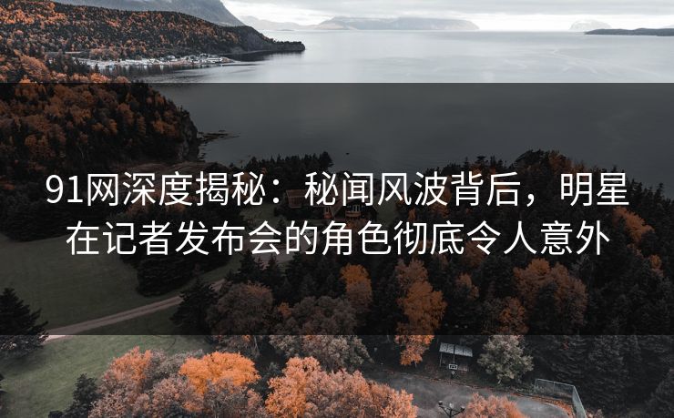 91网深度揭秘：秘闻风波背后，明星在记者发布会的角色彻底令人意外