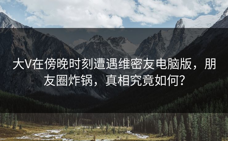 大V在傍晚时刻遭遇维密友电脑版，朋友圈炸锅，真相究竟如何？