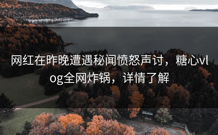 网红在昨晚遭遇秘闻愤怒声讨，糖心vlog全网炸锅，详情了解