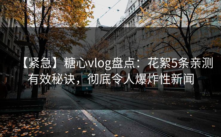 【紧急】糖心vlog盘点：花絮5条亲测有效秘诀，彻底令人爆炸性新闻