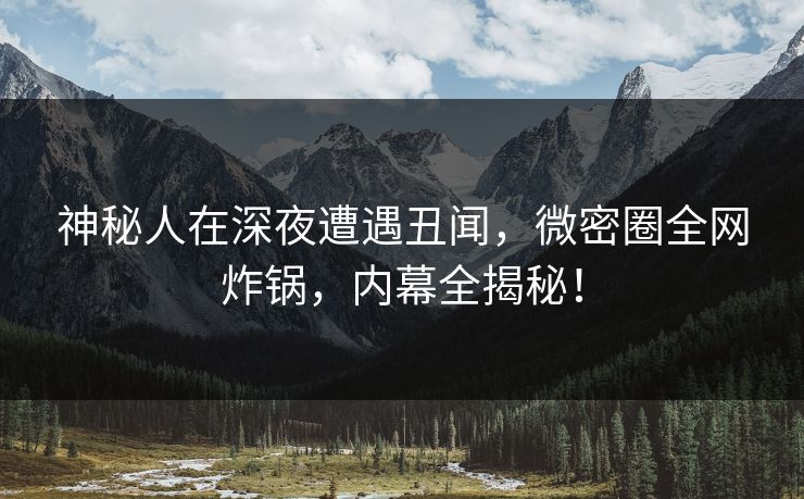 神秘人在深夜遭遇丑闻,微密圈全网炸锅,内幕全揭秘! 神秘人在深夜遭遇丑闻,微密圈全网炸锅,内幕全揭秘!