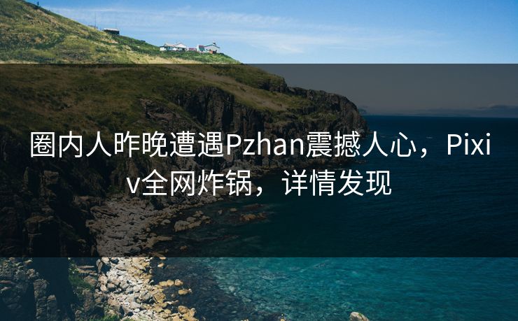 圈内人昨晚遭遇Pzhan震撼人心，Pixiv全网炸锅，详情发现