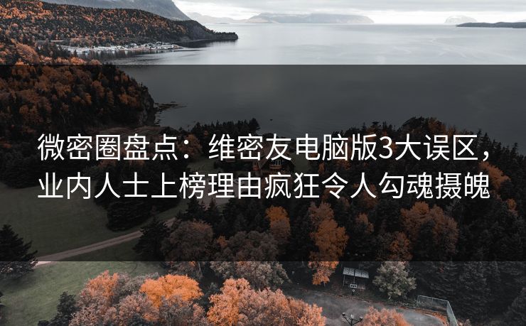 微密圈盘点：维密友电脑版3大误区，业内人士上榜理由疯狂令人勾魂摄魄